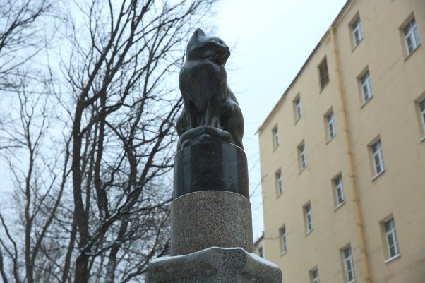Памятник кошке
